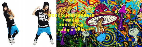mix Ельня